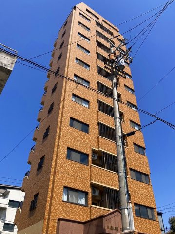 ☆価格変更☆ダイアパレス中央町 1DK 255万円