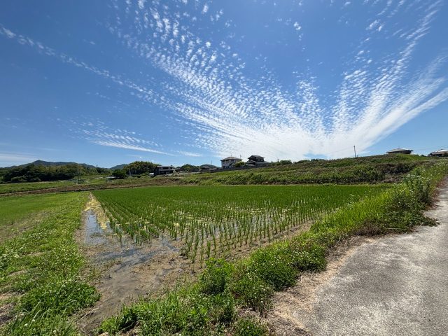 【新着物件】木田郡三木町田中売り土地 555坪 167万円